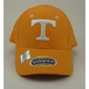    Tennessee Volunteers UT NCAA Youth 1 Fit Hat