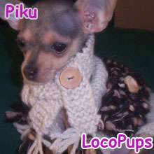 XXS 2 3 lbs Dog Teacup Sweaters human Scarf Chihuahua  