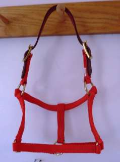 RED FOAL Horse Halter Mini PONY w Leather Breakway Strap New Saddle 