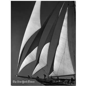  Migrant Headsails   1934 Platinum Print