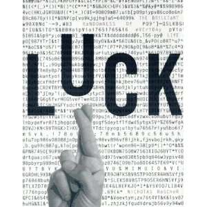  Luck The Brilliant Randomness of Everyday Life [Hardcover 