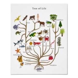  Tree of Life Posters