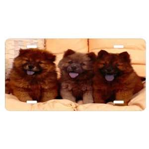 Chow Chow Puppies License Plate Sign 6 x 12 New Quality Aluminum