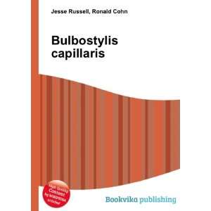 Bulbostylis capillaris Ronald Cohn Jesse Russell  Books