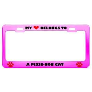  A Pixie Bob Cat Pet Pink Metal License Plate Frame Tag 
