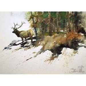  Morten Solberg   High Elk Country Canvas