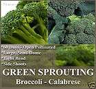 Broccoli seeds~ CERT. ORGANIC GREEN SPROUTING CALABRESE