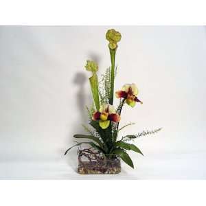  Lady Slipper, Cobra Lily and Mountain Fern Branch with 