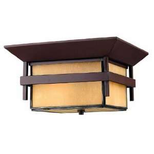 Hinkley Harbor Collection 11 Wide Outdoor Ceiling Light 