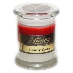  Candy Cane Scented Premier Jar Candle 12 oz Everything 