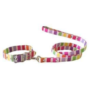  Candystripe Canvas Lead (Size 4ft. , 1/2  width) Pet 