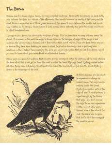 Book of Shadows page about The Raven  