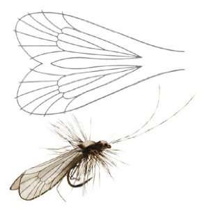  Fly Tying   Caddis Adult Wing   small wing Sports 