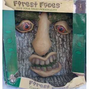   Forest Faces, Give Your Trees Personality, Tree Face