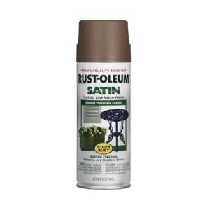   Rust Oleum Outdoor Decor Satin Spray Paint 