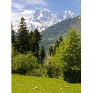  Mountain Scenery of Svanetia With Mount Ushba in the 
