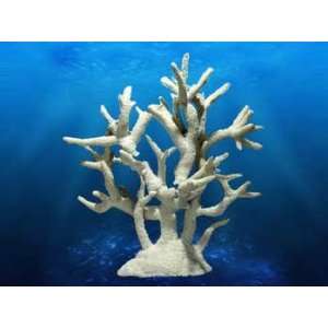  Deep Blue Pro Coral Replica Staghorn Coral 17X9X17 Inches 