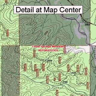  USGS Topographic Quadrangle Map   Cedar Springs Mountain 
