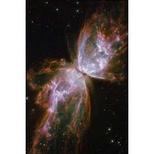  Bug Nebula, Hubble Space Telescope Image   24x36 Poster 