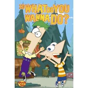  Phineas and Ferb Poster With Perry Wanna Doo