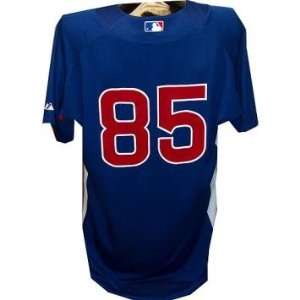  #85 2010 Chicago Cubs Game Used Spring Training Blue 
