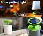 Indoor Solar potted led light Solar table lamp Solar Desk reading 