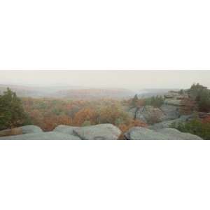 High Angle View of a Forest, Shawnee Forest, Illinois, USA by 