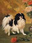 JAPANESE CHIN AND CHRYSANTHEMUMS CUTE LITTLE DOG PRINT