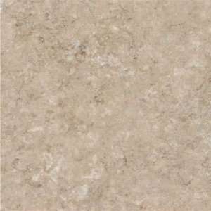   Classic Collection Gothic Stone II Mineral Beige Vinyl Flooring