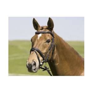 Kieffer Orion Snaffle Bridle with Crank Noseband Sports 