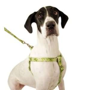  Pet Attire Weave Step In Harness, 12 18 Inches, Daisies 