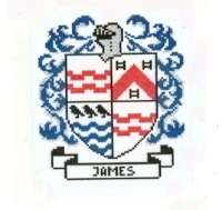 Coat of Arms JAMES Cross Stitch Chart Geneology  