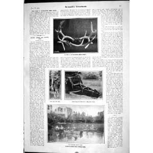  1905 Scientific American Deer Horns Folding Canoes Jointed 