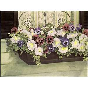 Window Box Pansies by Barbara Shipman. Size 25 inches width by 19 