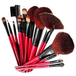 Shany Professional Cosmetic Brush Set with Pouch (Color May Vary), 12 