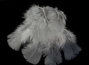 30 SOFT GRAY HAND SELECTED TURKEY FEATHERS 3 5  