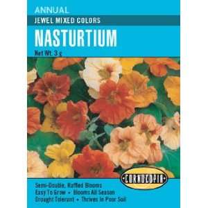  Nasturtium Jewel Mixed Colors Seeds Patio, Lawn & Garden