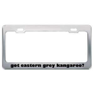 Got Eastern Grey Kangaroo? Animals Pets Metal License Plate Frame 