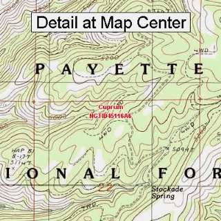  USGS Topographic Quadrangle Map   Cuprum, Idaho (Folded 