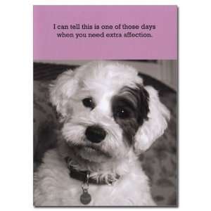  Extra Affection Scruffy Dog Friendship Card Health 