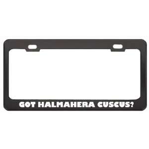 Got Halmahera Cuscus? Animals Pets Black Metal License Plate Frame 