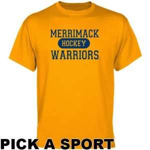   College Warriors Gold Custom Sport T shirt  
