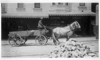 Photo 1894 San Fran Calif Horse Pulling a Dirt Wagon  