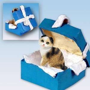 Scottish Fold Tortoise/White Blue Gift Box Ornament