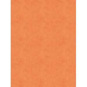  Wallpaper Steves Color Collection Orange BC1581730