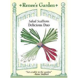  Scallions   Delicious Duo Seeds Patio, Lawn & Garden