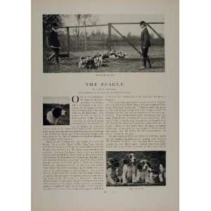  1902 Article Beagle Dog James Watson Merry Beaglers 