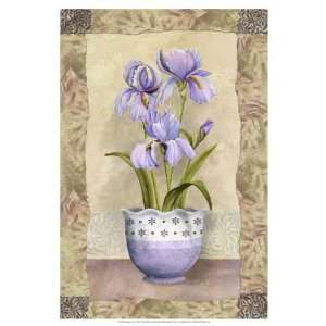 Abby White   Spring Iris