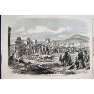  1866 Ivory Skins Sale Grahamstown Market Cape Colony