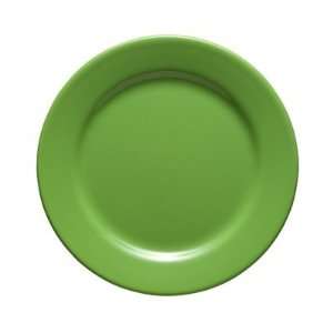  Fun Factory Rimmed Salad Plate in Green Apple Kitchen 